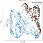 EuleroDec: A Complex-Valued RVQ-VAE for Efficient and Robust Audio Coding