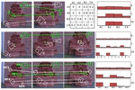 A Game-theoretical Approach for Joint Matching of Multiple Feature throughout Unordered Images